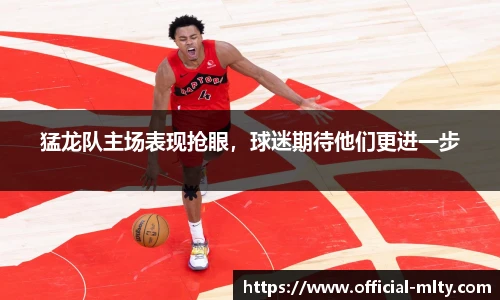 猛龙队主场表现抢眼，球迷期待他们更进一步