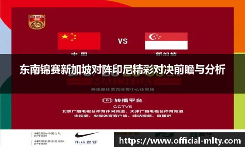 东南锦赛新加坡对阵印尼精彩对决前瞻与分析